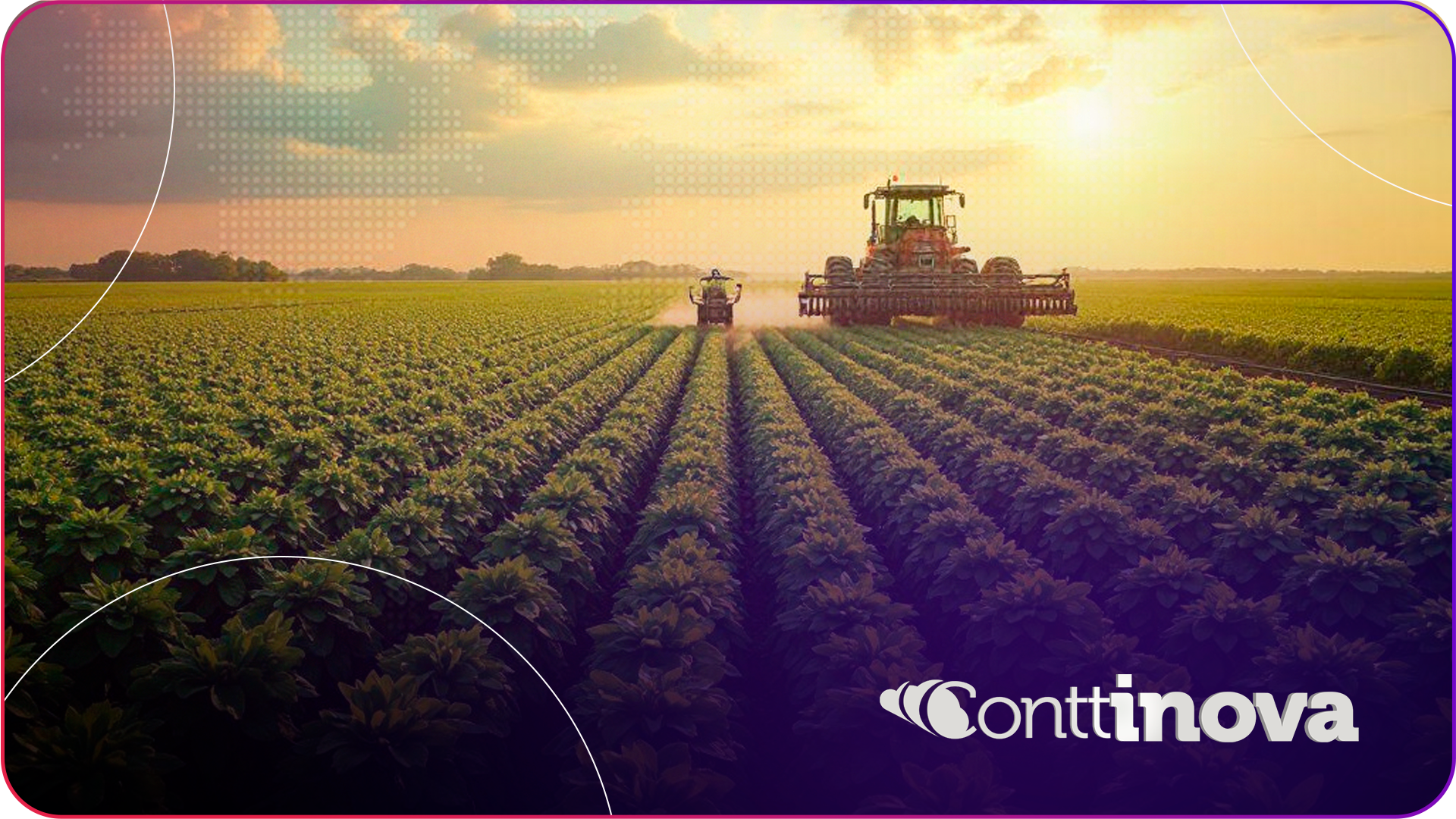 IBS e CBS: O que muda para o produtor rural com a reforma tributária?