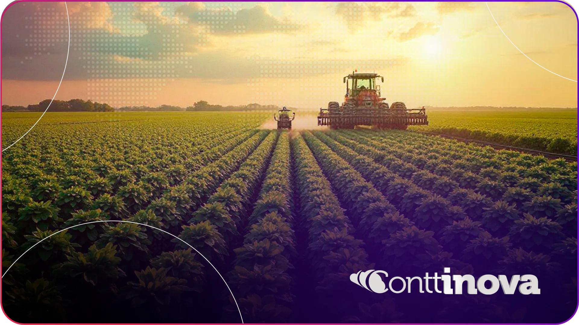 IBS e CBS: O que muda para o produtor rural com a reforma tributária?